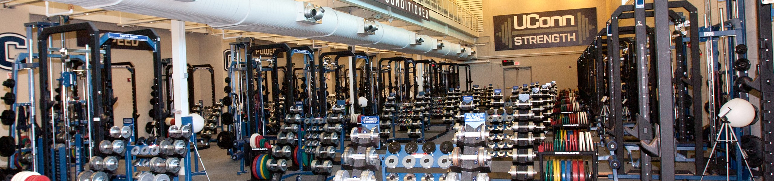 Gym full of equipment