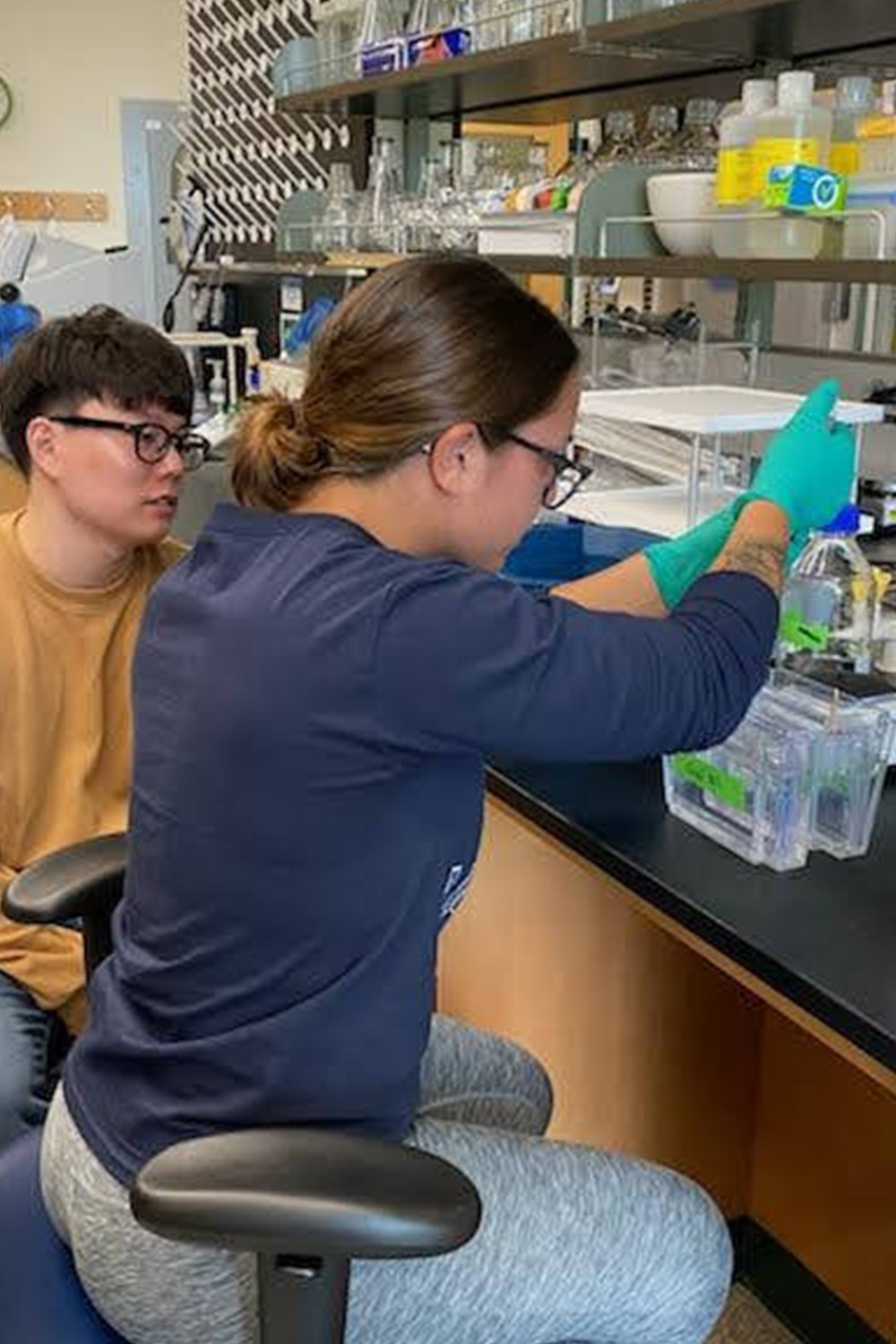 two people working in a lab